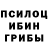 Псилоцибиновые грибы мухоморы Natali Chitashvili