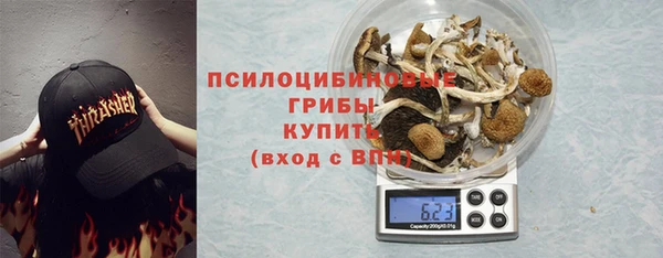 spice Семёнов