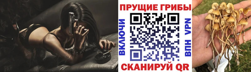 Псилоцибиновые грибы ЛСД  Купить закладки  Липки 